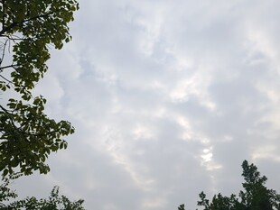 天空中的云层与树木