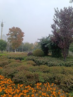 秋日花卉园林美景