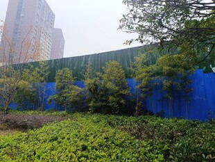 城市绿植围挡景观画面