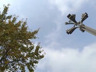 仰望路灯与绿树蓝天