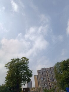 城市绿树与高楼的天际线