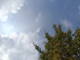 蓝天绿树间的白云景致