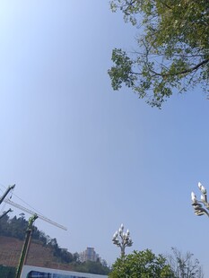 天空中飞翔的白鸽