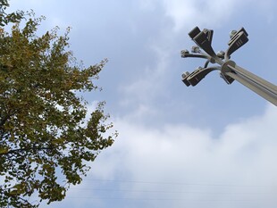 路灯与绿树映衬的天空