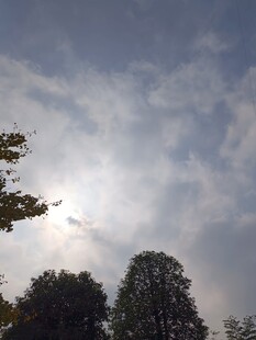 阳光穿透云层映树木