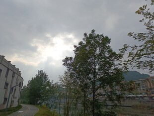 户外树木与建筑的景致