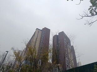 城市高楼与朦胧天空景象