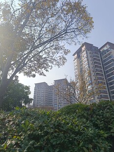 阳光照耀下的城市住宅区