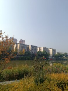 城郊住宅区旁的自然景致