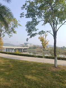公园绿树成荫的休闲场景
