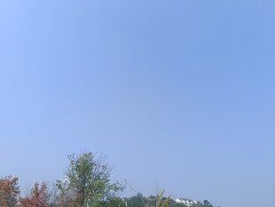 秋日蓝天与多彩树木