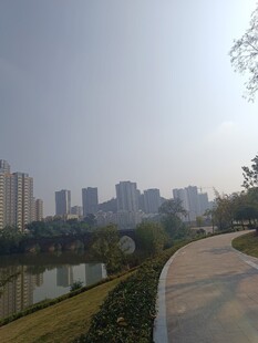 城市河畔的宁静风光