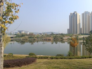 湖畔城市风光美景