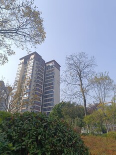 城市中高层住宅与绿植景观