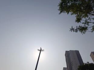 城市天际线与路灯和绿树