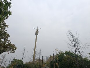 户外高塔与周边植被景观