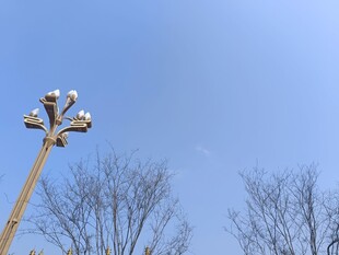 高杆灯立于蓝天树木间