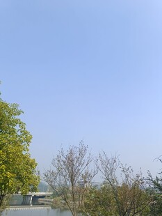 户外蓝天绿树风景图