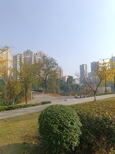 城市公园秋日景致