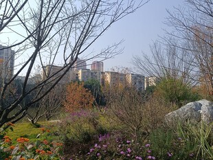 城郊秋日自然与建筑景观