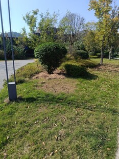 户外绿化景观一角