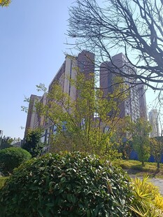 城市中绿植环绕的高楼建筑