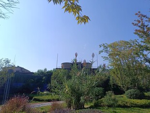 户外园林景观绿意盎然