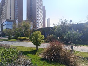 城市中的绿地景观