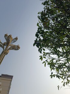 雕塑旁的葱郁绿树