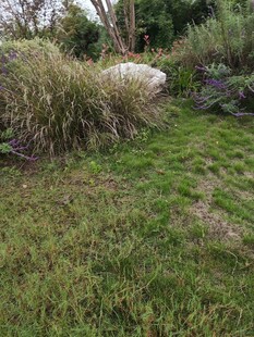 户外草地与植被景观