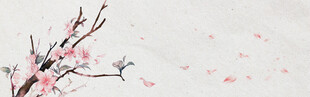 枝头粉花飘落唯美banner