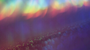 梦幻色彩渐变微观景象