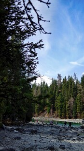 新疆喀纳斯森林边的开阔河岸风光