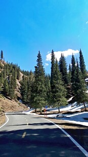 山间公路蓝天绿树相伴