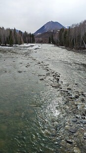 新疆喀纳斯禾木山间河流风景