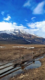 新疆喀纳斯禾雪山下的木栈道风景