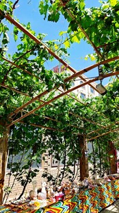 葡萄架下的多彩休闲空间