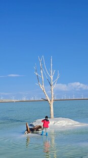 青海湖茶卡沙漠孤树旁的人与骆驼