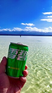 青海湖茶卡手持绿罐于美丽湖景前