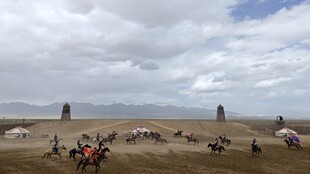 青海湖茶卡草原上的热闹骑行场景