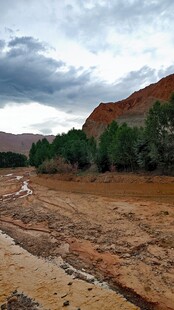 青海湖茶山间泥泞小道与葱郁树木