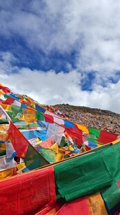 西藏拉五彩经幡飘扬于蓝天白云下