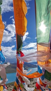 西藏拉萨布达拉羊飘扬的五彩经幡