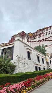 西藏拉布达拉宫前的缤纷花卉景观