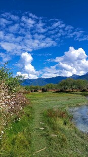 西藏拉萨布达拉草原湿地蓝天美景