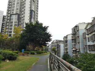 城市中的宁静小路与建筑