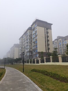 雾中住宅区的静谧小路