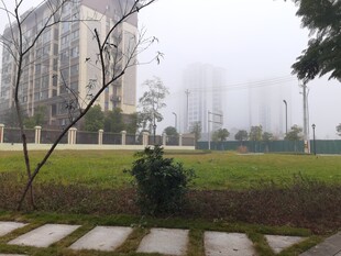 雾中小区绿地景观