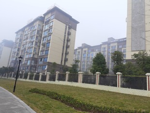 城市住宅区景观