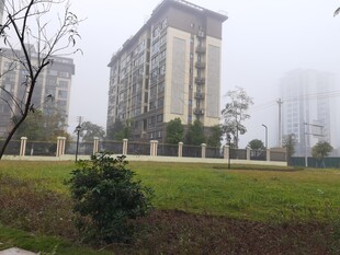 雾中住宅区景观